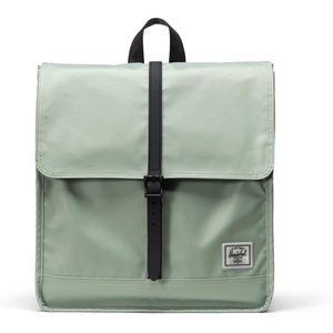 Herschel City Backpack, Ash Rose, Standard – 16L(Iceberg Green (Limited Edition))